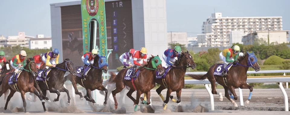 船橋競馬