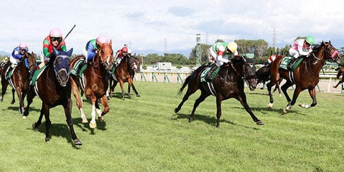 niigatakeiba-新潟競馬