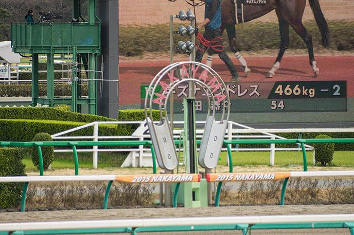 中山１１レース