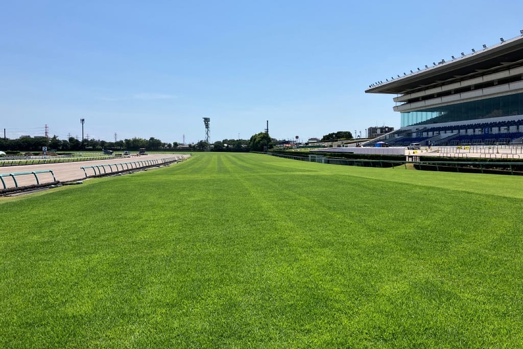 中山競馬